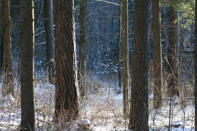 2005_10_12 095.jpg